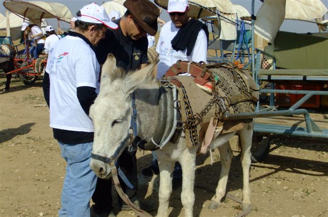 אימון מנהלים עם אתגרים בחווה